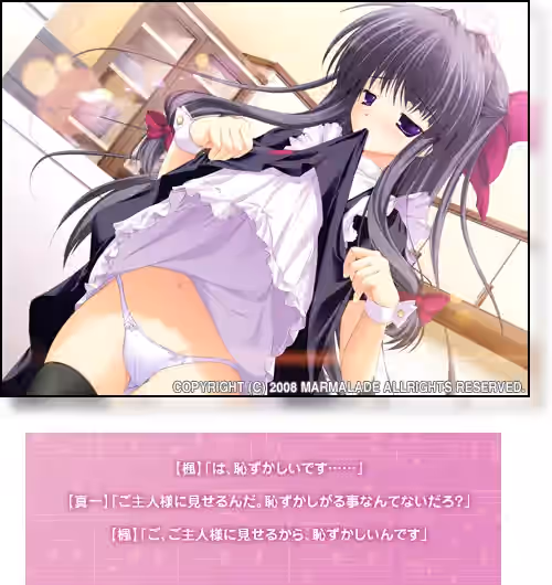 evcg05on.jpg