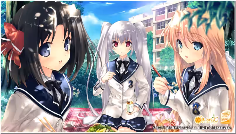 cg11_full.jpg